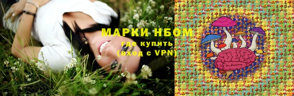 соль ск Бугульма